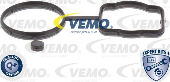 Vemo V10-4919 - Kit de réparation, pompe à eau cwaw.fr