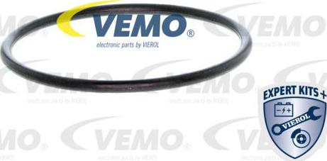 Vemo V30-99-0108-1 - Thermostat d'eau cwaw.fr