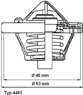 WAHLER 4483.82D - Thermostat d'eau cwaw.fr