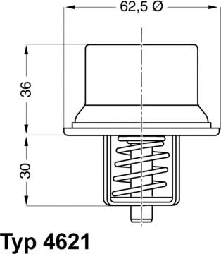 WAHLER 4621.80D - Thermostat d'eau cwaw.fr