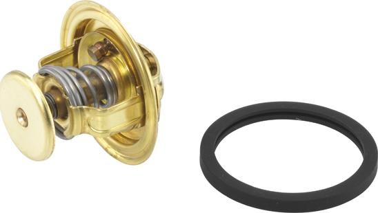 WAHLER 4022.82D - Thermostat d'eau cwaw.fr