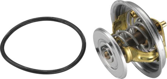 WAHLER 4078.87D - Thermostat d'eau cwaw.fr