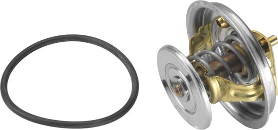 WAHLER 4078.79D - Thermostat d'eau cwaw.fr