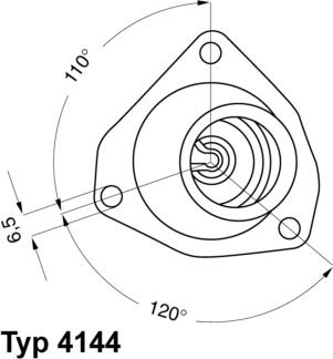 WAHLER 4144.82D - Thermostat d'eau cwaw.fr