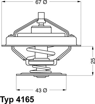 WAHLER 416579D - Thermostat d'eau cwaw.fr