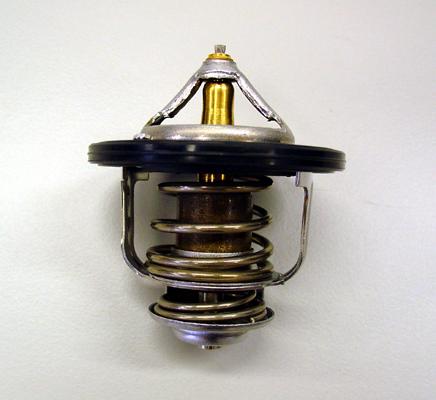 WAHLER 410182.84D - Thermostat d'eau cwaw.fr