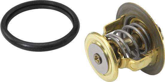 WAHLER 410131.88D - Thermostat d'eau cwaw.fr