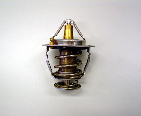 WAHLER 410176.82D0 - Thermostat d'eau cwaw.fr