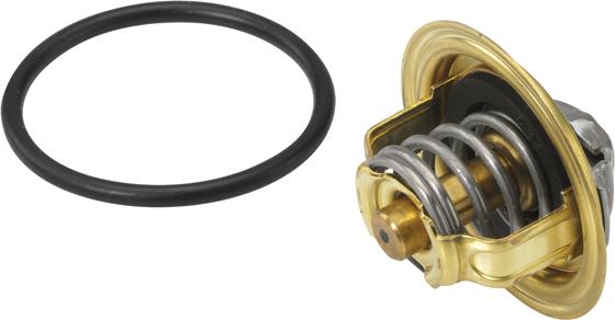 WAHLER 410396.82D - Thermostat d'eau cwaw.fr