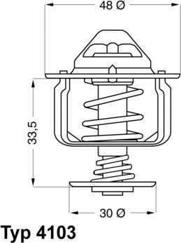 WAHLER 4103.82D - Thermostat d'eau cwaw.fr