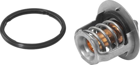 WAHLER 41174382D - Thermostat d'eau cwaw.fr