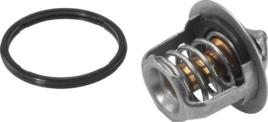 WAHLER 411716.88D - Thermostat d'eau cwaw.fr