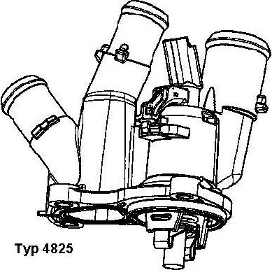 WAHLER 4825.98D - Thermostat d'eau cwaw.fr