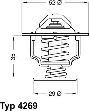 WAHLER 426978D - Thermostat d'eau cwaw.fr