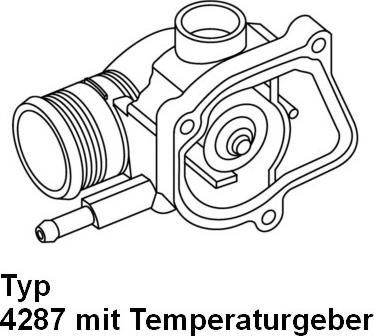 WAHLER 428792D - Thermostat d'eau cwaw.fr