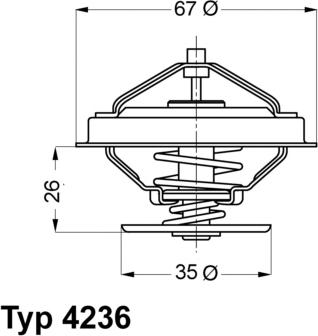 WAHLER 4236.92D - Thermostat d'eau cwaw.fr