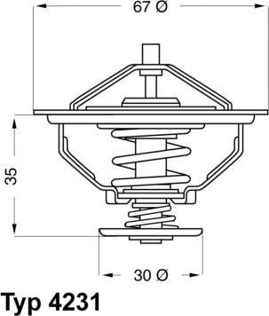 WAHLER 4231.80D - Thermostat d'eau cwaw.fr