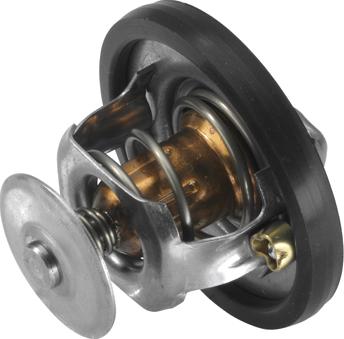 WAHLER 3497.88D - Thermostat d'eau cwaw.fr