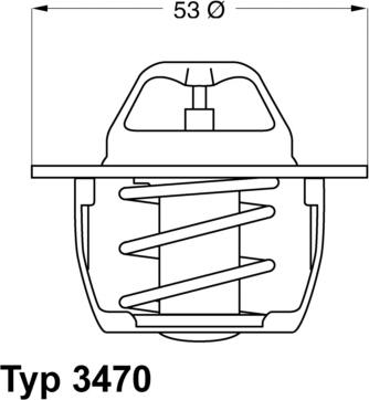 WAHLER 347089D50 - Thermostat d'eau cwaw.fr