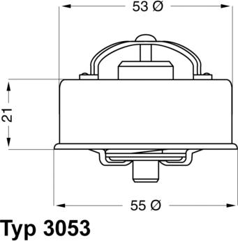 WAHLER 3053.75 - Thermostat d'eau cwaw.fr