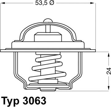 WAHLER 3063.75 - Thermostat d'eau cwaw.fr