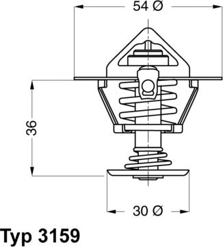 WAHLER 3159.82D - Thermostat d'eau cwaw.fr