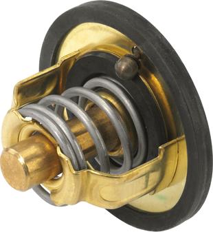 WAHLER 311689D - Thermostat d'eau cwaw.fr