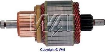 WAI 61-9151 - Induit, démarreur cwaw.fr