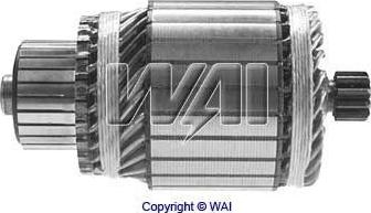 WAI 61-8112 - Induit, démarreur cwaw.fr