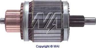 WAI 61-8316 - Induit, démarreur cwaw.fr