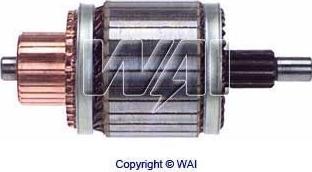 WAI 61-8313 - Induit, démarreur cwaw.fr