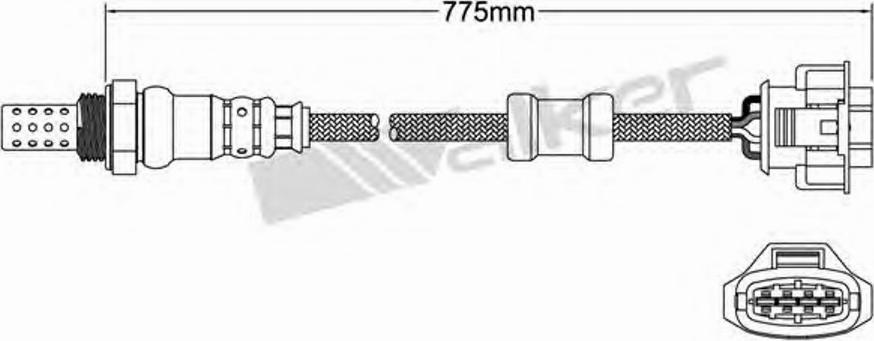 Walker 25024682 - Sonde lambda cwaw.fr