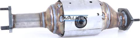 Walker 28781 - Catalyseur cwaw.fr