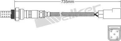 Walker Products 250-24552 - Sonde lambda cwaw.fr