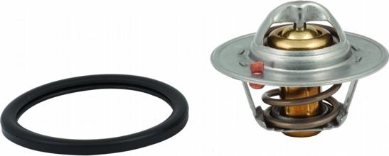 Wilmink Group WG1409321 - Thermostat d'eau cwaw.fr