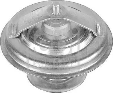 Wilmink Group WG1435276 - Thermostat d'eau cwaw.fr