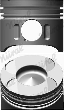 Wilmink Group WG1094043 - Piston cwaw.fr