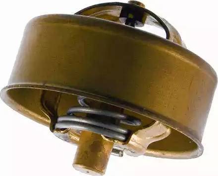 Wilmink Group WG1091510 - Thermostat d'eau cwaw.fr