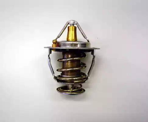 Wilmink Group WG1091801 - Thermostat d'eau cwaw.fr