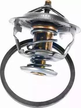 Wilmink Group WG1091741 - Thermostat d'eau cwaw.fr