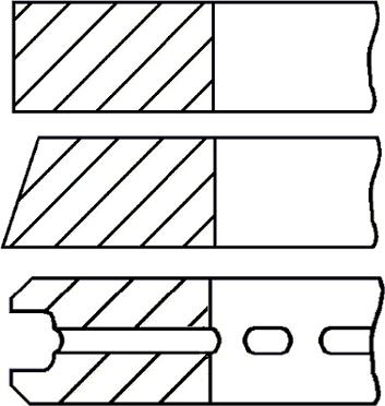 Wilmink Group WG1149941 - Jeu de segments de pistons cwaw.fr