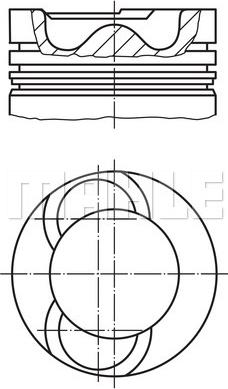 Wilmink Group WG1104684 - Piston cwaw.fr