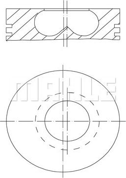 Wilmink Group WG1257029 - Piston cwaw.fr