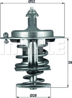 Wilmink Group WG1264934 - Thermostat d'eau cwaw.fr