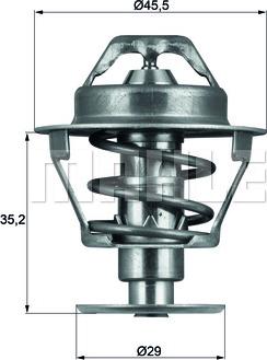 Wilmink Group WG1264927 - Thermostat d'eau cwaw.fr