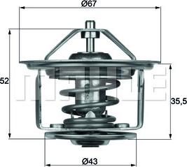 Wilmink Group WG1262681 - Thermostat d'eau cwaw.fr