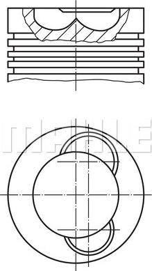 Wilmink Group WG1213954 - Piston cwaw.fr