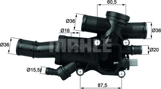 Wilmink Group WG1217535 - Thermostat d'eau cwaw.fr