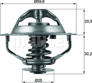 Wilmink Group WG1217860 - Thermostat d'eau cwaw.fr