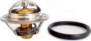 Wilmink Group WG1749711 - Thermostat d'eau cwaw.fr